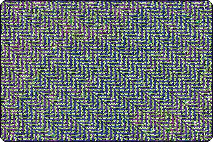 Animal Collective - Merriweath - Home Office X Post avis et prix